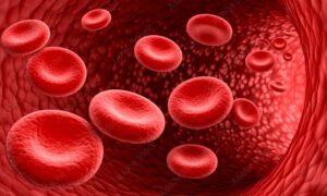 levend bloed analyse Heerenveen Sandra van der Molen